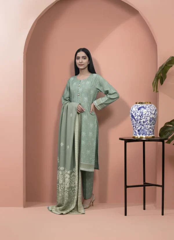 Printed 3 Pieces Khaddar 11