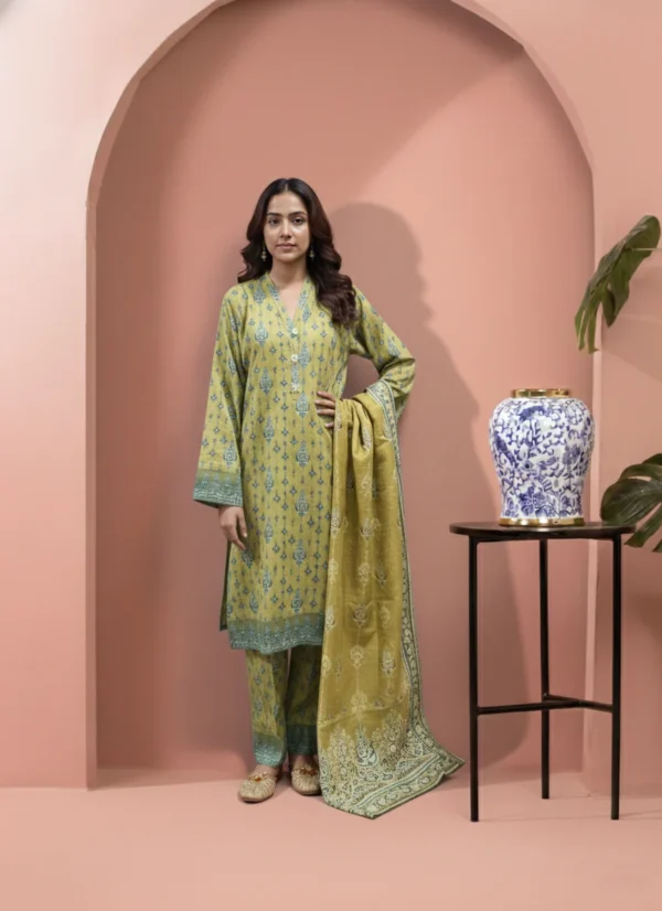 Printed 3 Pieces Khaddar 13