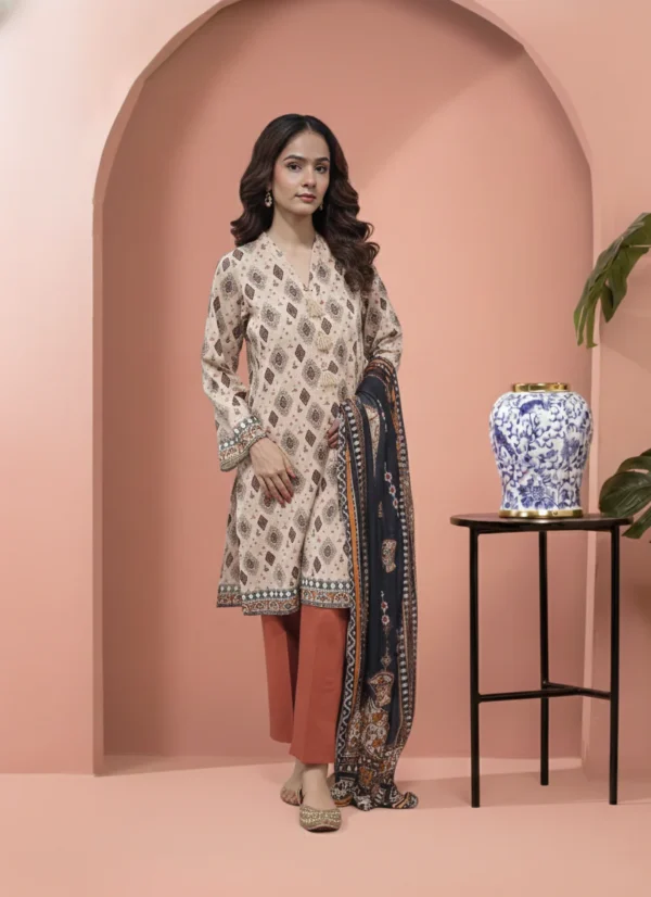 Printed 3 Pieces Khaddar 04