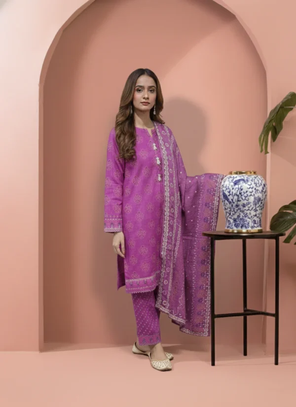 Printed 3 Pieces Khaddar 06